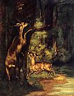 Gustave Courbet Male and Female Deer in the Woods painting